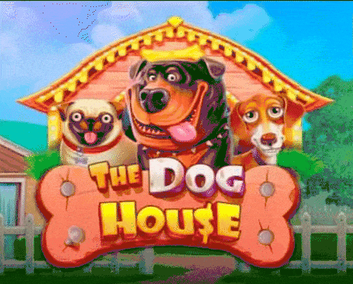 play the dog house in casinogoldzino